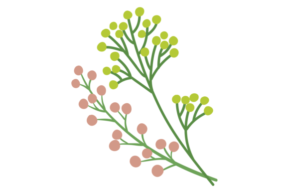 Blooming Branch: Decorative Botany & Flor Design Elements