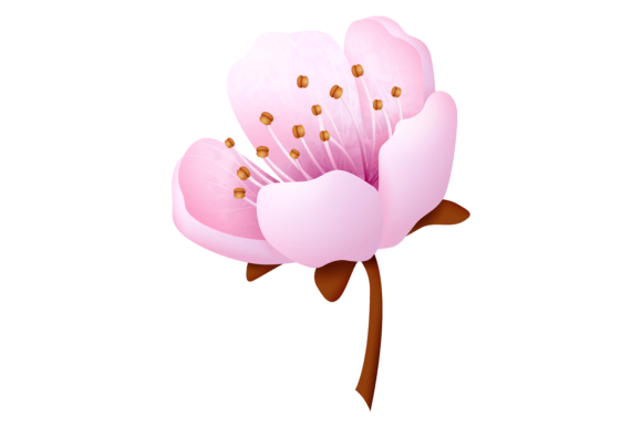 Embrace the Elegance of Sakura Blossom in Your Designs