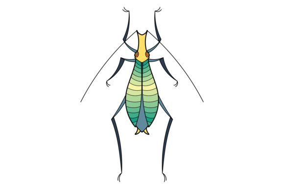 Green Bug: A Decorative Natural Insect for Creative Projects