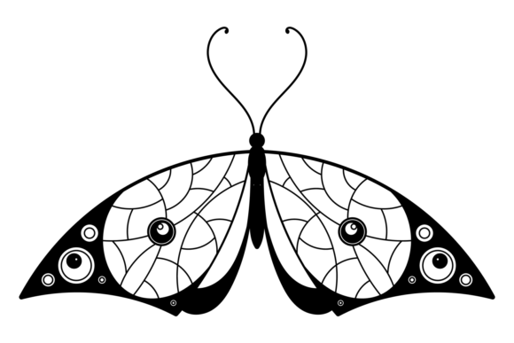 The Artistic Allure of Patterned Wings Moth